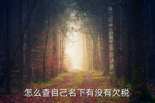 如何查欠稅記錄，怎么查個(gè)人有沒有欠稅