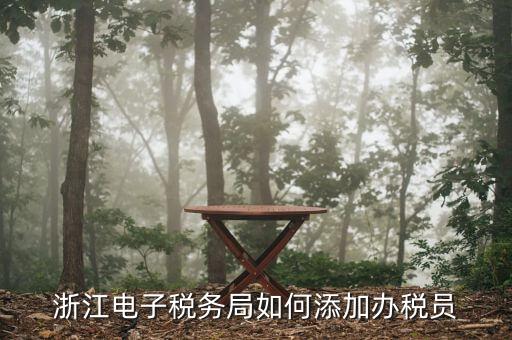 如何在浙江網(wǎng)上稅務(wù)局添加辦稅員，浙江電子稅務(wù)局如何添加辦稅員