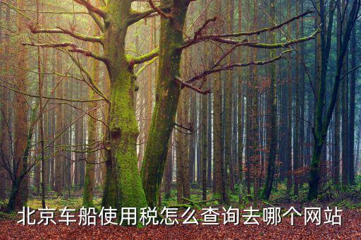 北京車船稅如何查詢系統(tǒng)，北京車船使用稅怎么查詢交沒交