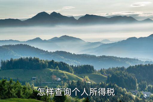 個人所得稅如何查詢 河南，怎么查詢個人所得稅