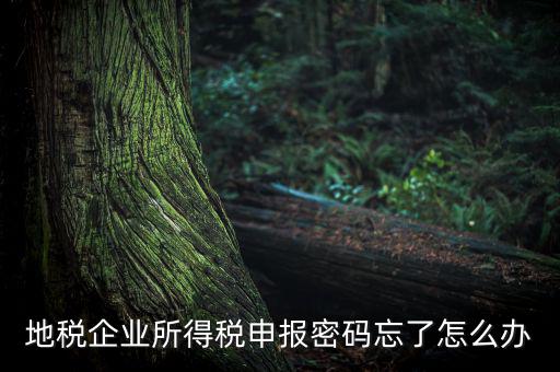 南京地稅密碼如何重置，個人所得稅忘記密碼之后如何進行重置呢
