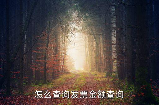 怎么查詢(xún)發(fā)票金額查詢(xún)