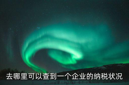 企業(yè)在哪納稅如何查，去哪里可以查到一個企業(yè)的納稅狀況