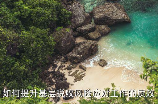 區(qū)縣局如何做好風(fēng)險應(yīng)對工作，如何提升基層稅收風(fēng)險應(yīng)對工作的質(zhì)效