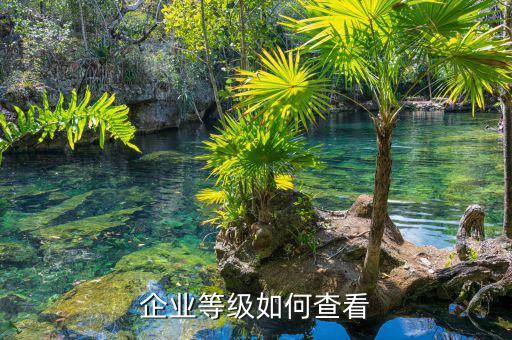 如何查納稅信用等級，企業(yè)納稅信用等級有何用處