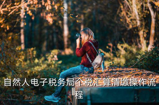 如何使用匯算清繳客戶端，自然人電子稅務(wù)局個稅匯算清繳操作流程