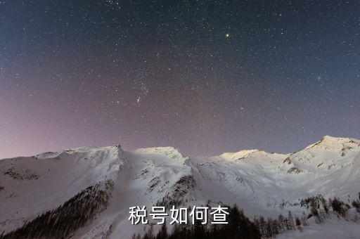如何查詢公司稅務(wù)編號(hào)查詢，如何通過企業(yè)注冊(cè)號(hào)查詢企業(yè)稅務(wù)登記證號(hào)
