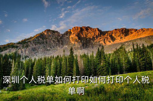 深圳網(wǎng)上如何打印稅單，怎樣在網(wǎng)上打印稅單我是深圳寶安區(qū)的