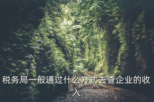 稅務如何統(tǒng)計收入，小規(guī)模增值稅季報在哪里統(tǒng)計收入