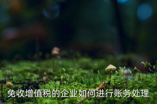 免稅的增值稅如何處理，增值稅免稅的處理