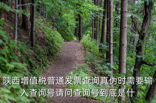 陜西省普通發(fā)票如何查詢(xún)系統(tǒng)，陜西國(guó)稅發(fā)票查詢(xún)號(hào)是做什么的