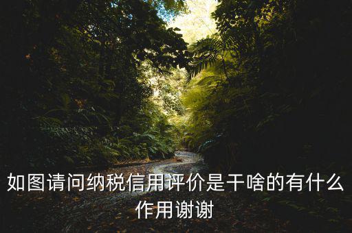 稅務(wù)如何評(píng)定信用如何打分，哪些涉稅行為會(huì)影響納稅信用等級(jí)評(píng)定