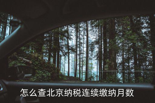 北京如何查到納稅記錄，怎么查詢納稅記錄