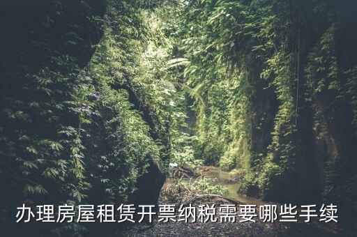 租房如何開增值稅專票，房屋租賃可以開增值稅專用發(fā)票嗎