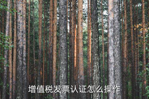 如何認(rèn)證增值稅進(jìn)項(xiàng)稅，進(jìn)項(xiàng)稅怎么認(rèn)證