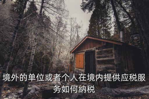 境外機構如何繳納增值稅，來源于境外收入怎么交增值稅