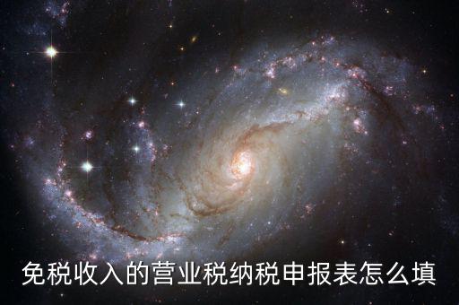免稅收入的營業(yè)稅納稅申報(bào)表怎么填