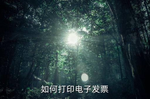 如何打印電子稅務(wù)局的電子發(fā)票，電子發(fā)票怎樣打印