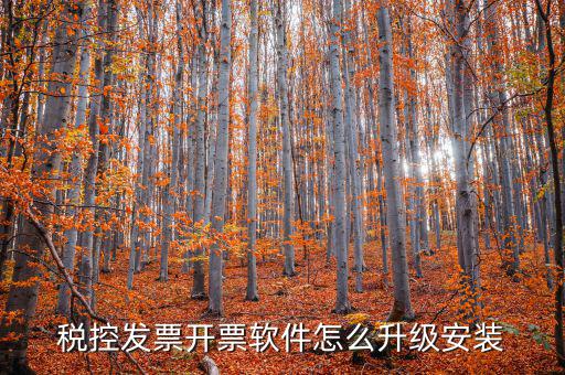開票系統(tǒng)如何升級成品油軟件，稅率調(diào)整開票軟件如何升級