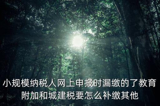 過(guò)了征期如何補(bǔ)交城建稅，請(qǐng)問(wèn)城建稅忘記交怎么辦