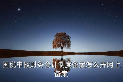 電子稅務(wù)局如何會計(jì)制度備案，2017年電子稅務(wù)局財(cái)務(wù)報(bào)表備案是不是可以馬上填寫