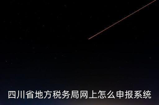 四川省地方稅務局網(wǎng)上怎么申報系統(tǒng)