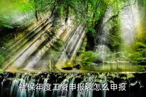 如何申報社保費申報表，申報社保怎么申請
