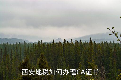 如何申請(qǐng)地稅ca證書，西安地稅如何辦理CA證書