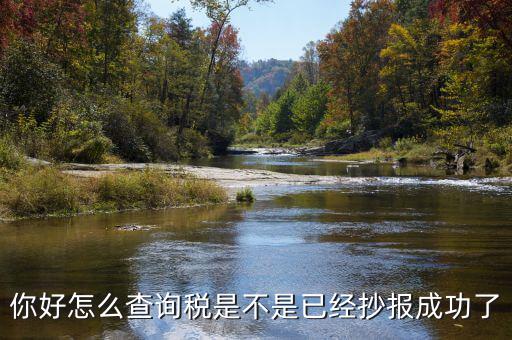 如何查看抄報成功，稅控發(fā)票開票軟件怎么看網上抄報成功沒有