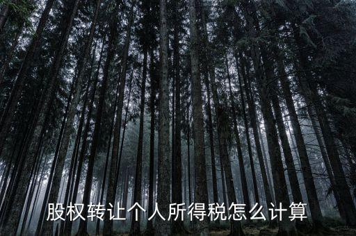 如何計(jì)算股權(quán)轉(zhuǎn)讓所得稅，股權(quán)轉(zhuǎn)讓的個(gè)人所得稅怎么計(jì)算