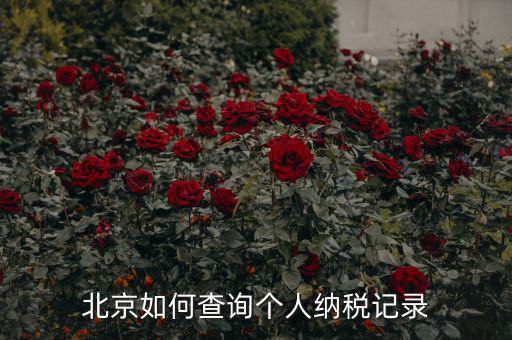 如何查詢北京國稅局納稅人狀態(tài)，如何進(jìn)行北京市A級納稅人信用查詢