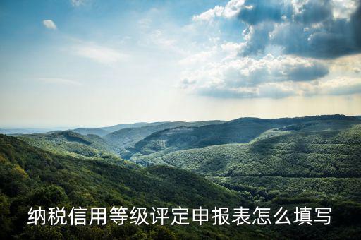 納稅信用等級評定申報(bào)表怎么填寫