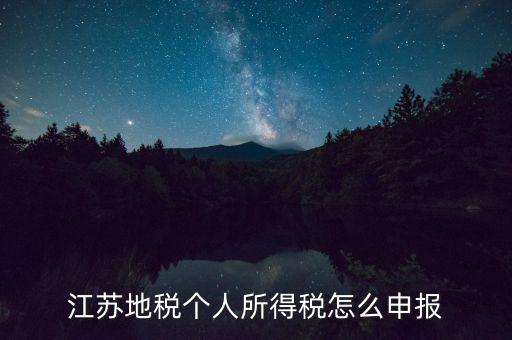 如何申報年稅江蘇，江蘇地稅個人所得稅怎么申報