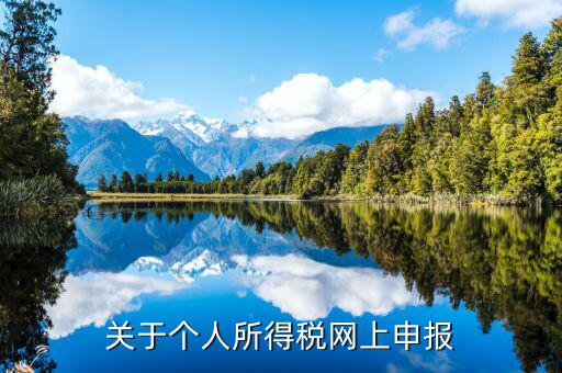 網(wǎng)上如何啟用個(gè)稅，如何打開個(gè)人所得稅申報(bào)表的明細(xì)
