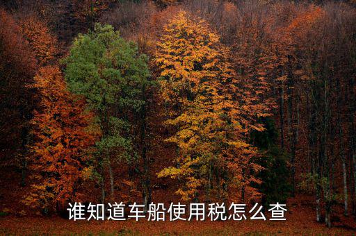 如何查詢自己交車船稅，車船稅交沒交能在網(wǎng)上查詢嗎