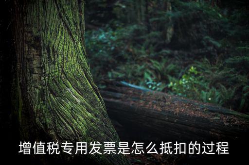 增值稅專用發(fā)票是怎么抵扣的過(guò)程