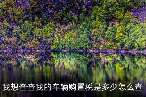 如何看購置稅發(fā)票，我想查查我的車輛購置稅是多少怎么查