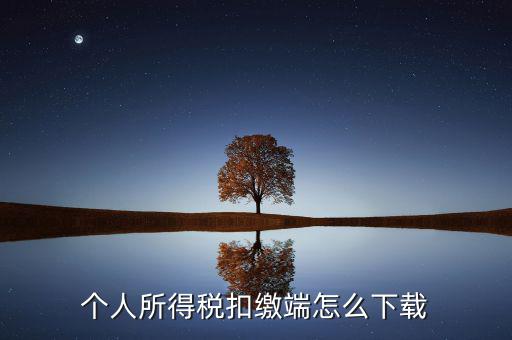 如何下載自然人扣繳客戶端，重慶市自然人電子稅務(wù)局扣繳端怎么下載