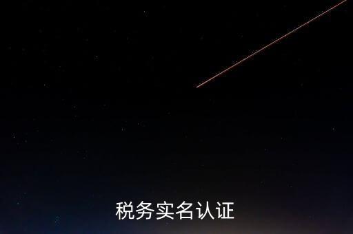 湖北省公司辦稅人員如何實(shí)名，稅務(wù)實(shí)名制信息采集
