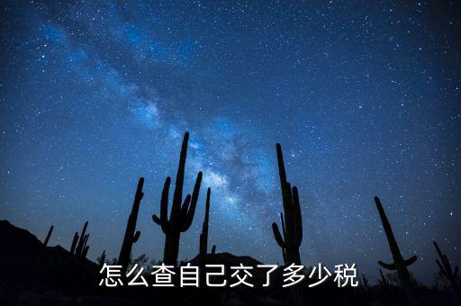 如何查詢交稅，如何查詢企業(yè)繳稅情況