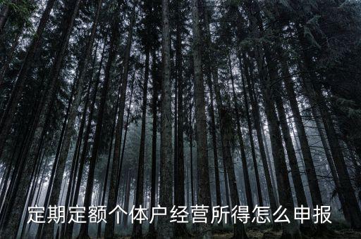 定期定額個(gè)體戶經(jīng)營所得怎么申報(bào)