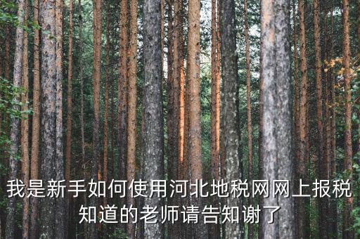河北省地稅網(wǎng)上申報如何操作，地稅網(wǎng)上申報如何操作