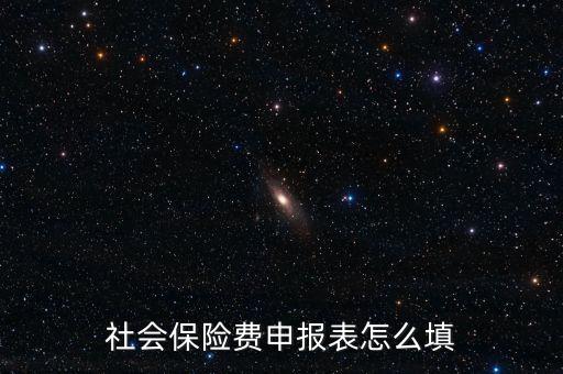 稅務系統(tǒng)社保費申報表如何填報，社會保險費申報表怎么填