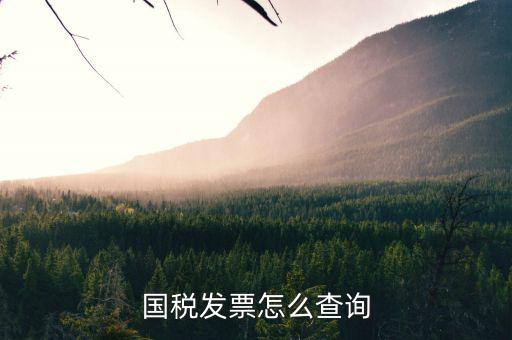 河北省的發(fā)票如何查詢，我的發(fā)票在河北地稅網(wǎng)上可以查到信息都沒有問題但是河北地稅