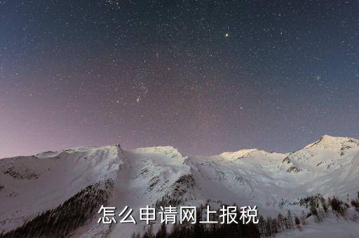 如何網(wǎng)上申報發(fā)票視頻教程，怎么申請網(wǎng)上報稅