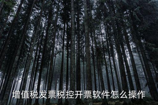 百望開(kāi)票軟件如何開(kāi)票，百望開(kāi)票系統(tǒng)發(fā)票抬頭有符號(hào)怎么打