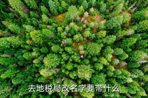 地稅自然人辦如何更改名字，地稅網(wǎng)上開票人的名字怎樣改