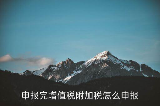 附加稅在國家稅務(wù)局網(wǎng)如何申報表，網(wǎng)上申報城建稅教育附加稅怎么填