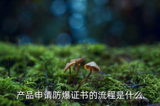 如何辦理防爆用地，產(chǎn)品辦理防爆認證流程有哪些