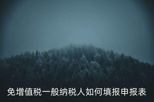 免稅如何填寫申報(bào)表，免稅企業(yè)如何填報(bào)增值稅納稅申報(bào)表